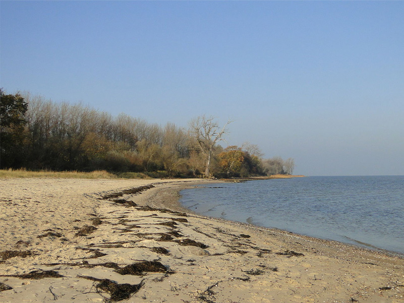 Ostseestrand Hohen Wieschendorf Ostseestrand Hohen Wieschendorf